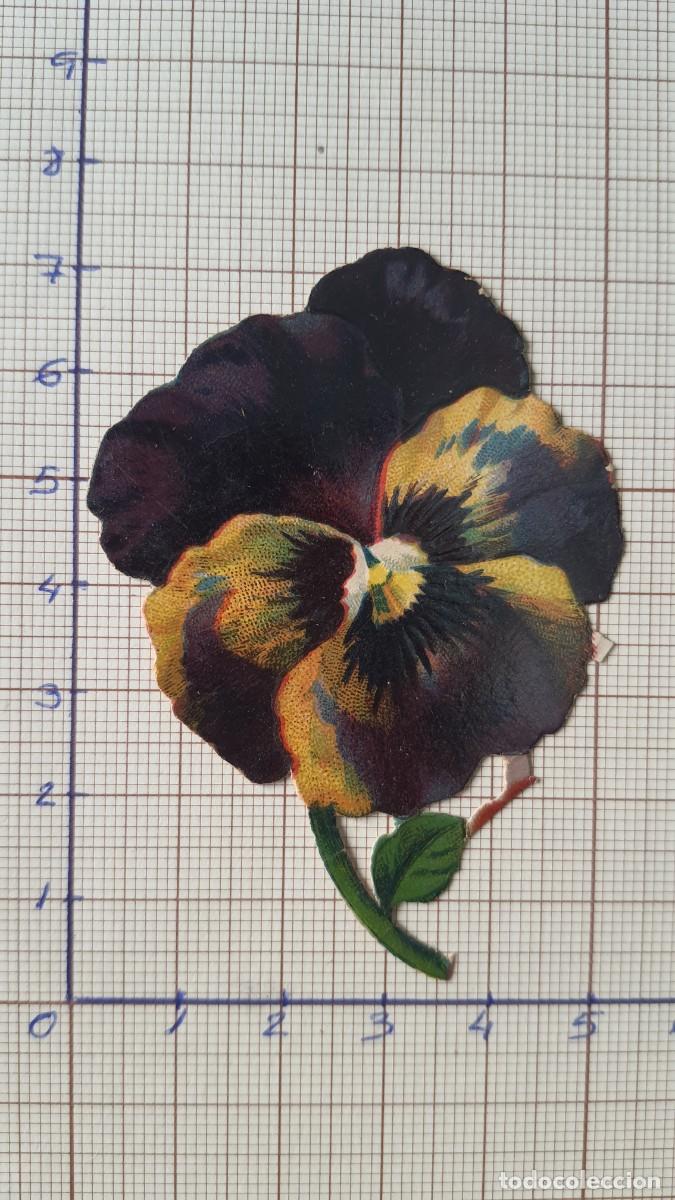 Sammeln alte gestanzte Sammelbilder: Cromo troquelado antiguo. (ref-CCH018) flor