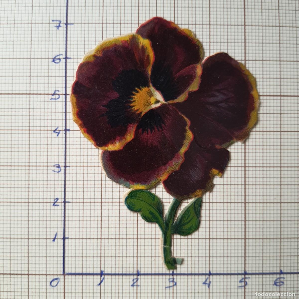 Cromo troquelado antiguo. (ref-CCH059) flor