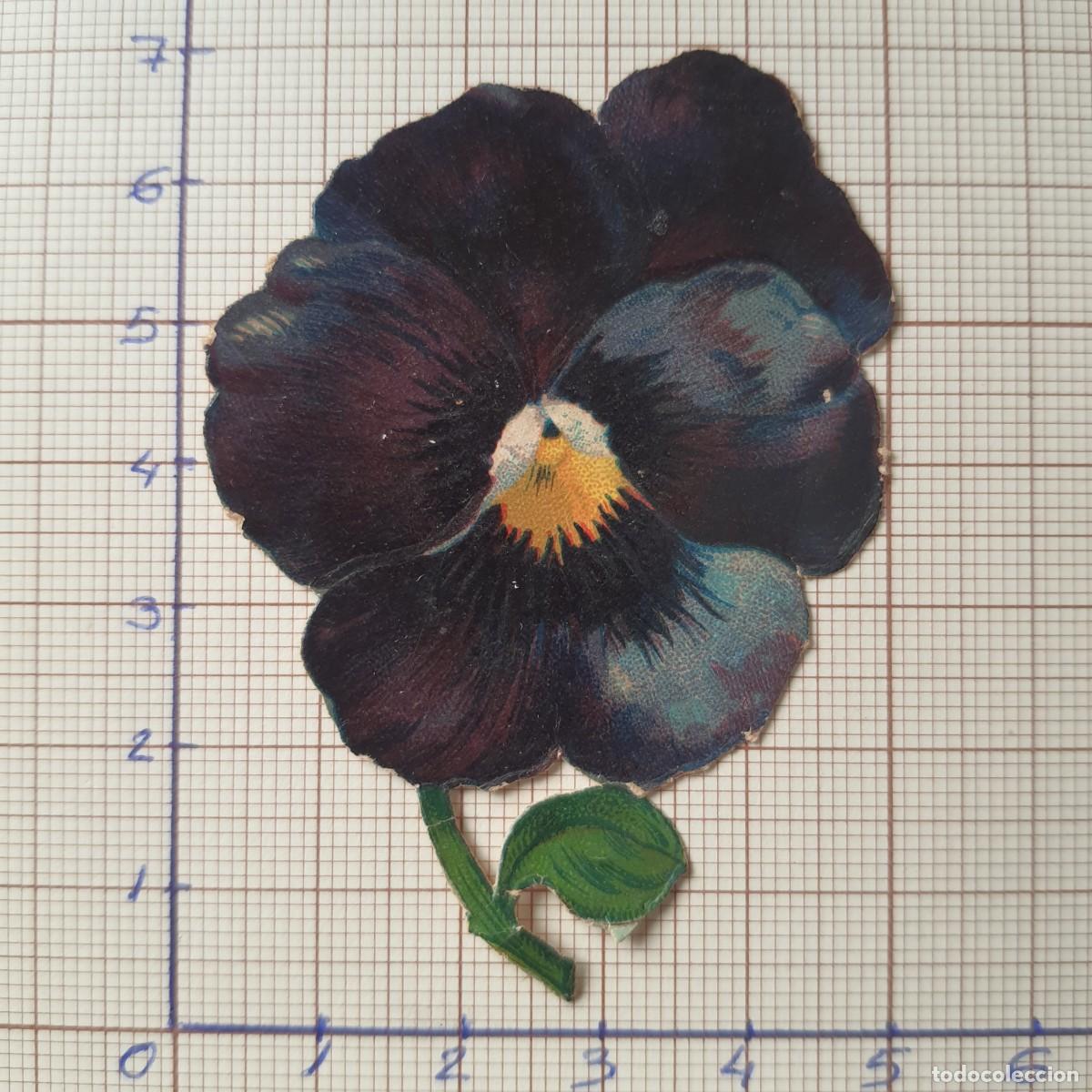 Sammeln alte gestanzte Sammelbilder: Cromo troquelado antiguo. (ref-CCH062) flor