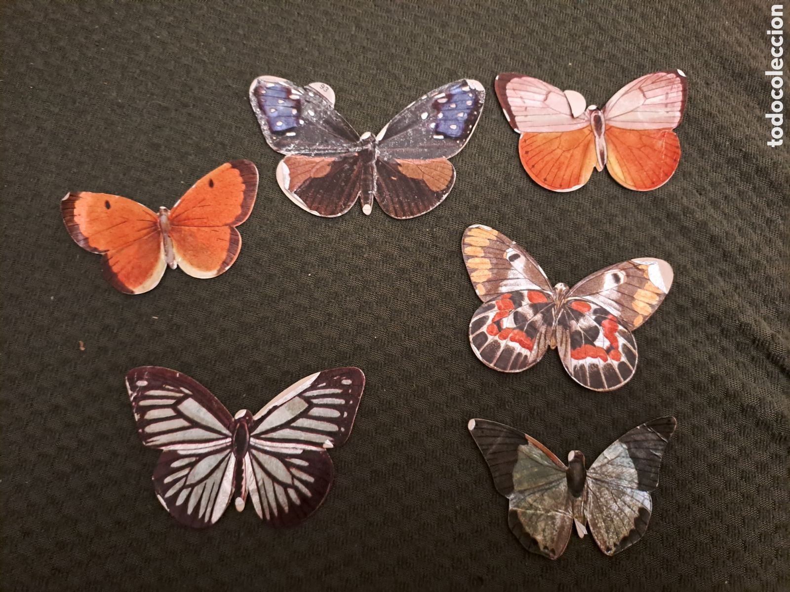 Colecionismo Cromos recortados antigos: LOTE CROMOS PANRICO SIN PEGAR ALBUM LAS CIEN MARIPOSAS MAS BELLAS DEL MUNDO