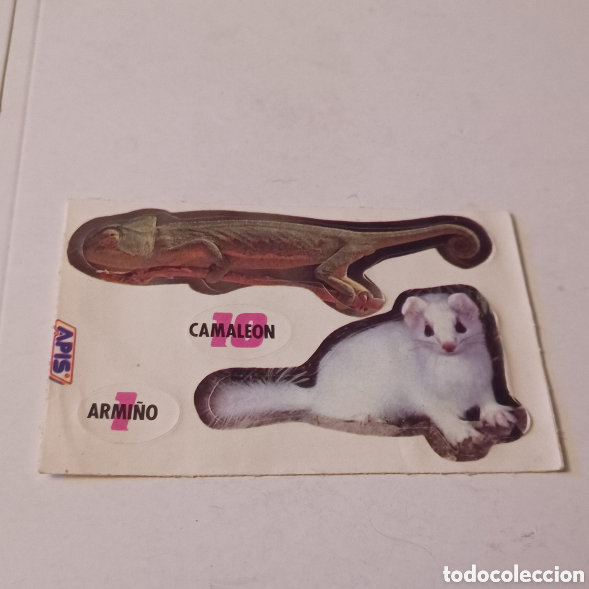 Sammeln alte gestanzte Sammelbilder: Cromo a&ntilde;os 80 APIS Protejamos nuestros animales N &deg; 1 y 10 Cameleon y Armi&ntilde;o
