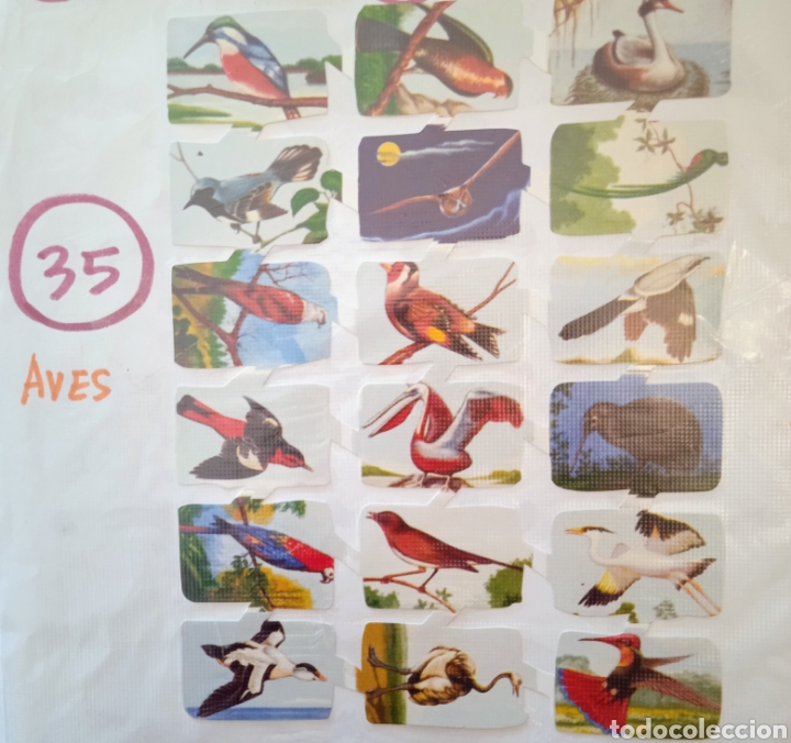 Coleccionismo cromos troquelados antiguos: 40 l&aacute;minas troqueladas - Foto 1