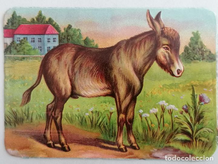 Collezionismo Figurine ritagliate antiche: CROMO TROQUELADO, SERIE ANIMALES, BURRO, MEDIDA 12 X 8,5 CM