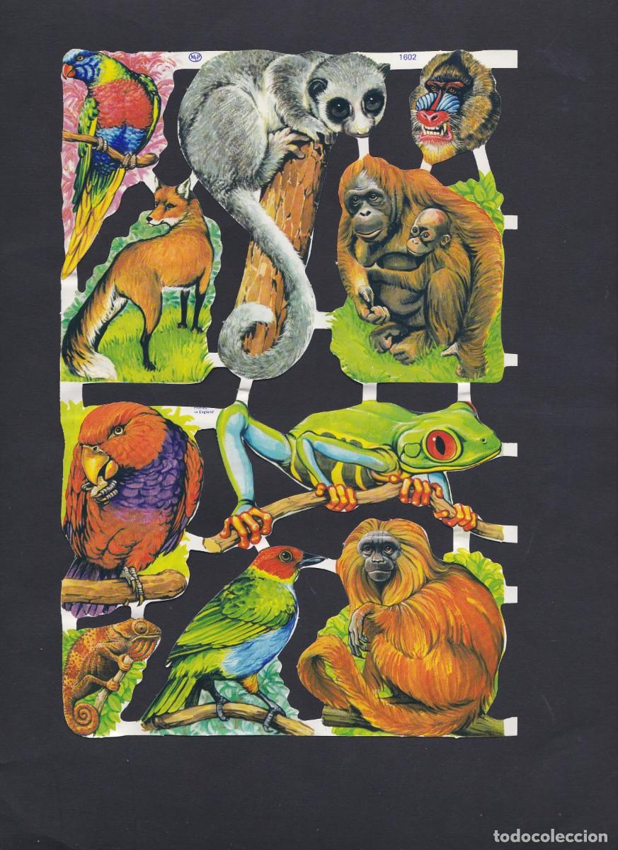 Sammeln alte gestanzte Sammelbilder: Hoja antigua de cromos troquelados
