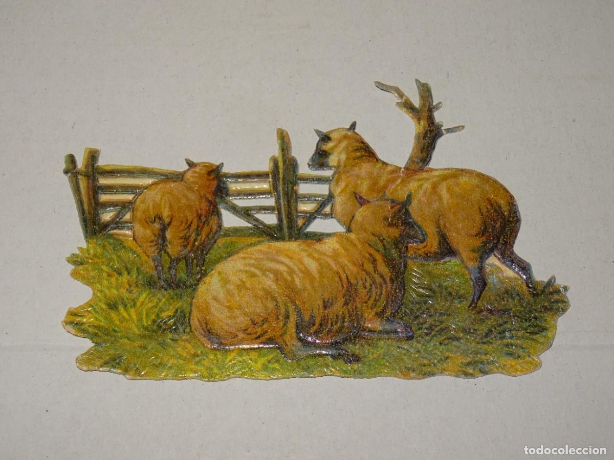 Collectable Antique Stamped Cards: (MCAJA) CROMO ANTIGUO TROQUELADO - OVEJAS - 10X6,5CM, SE&Ntilde;ALES DE USO