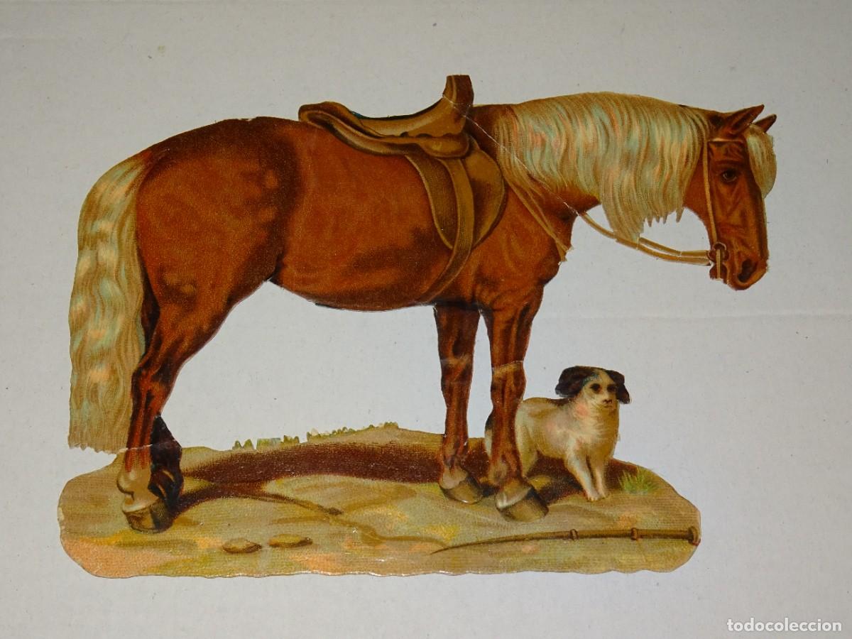 Collectionnisme Cartes &agrave; collectionner massicot&eacute;es anciennes: (MA) CROMO TROQUELADO ANTIGUO ANIMALES CABALLO - 16X12CM, SE&Ntilde;ALES DE USO