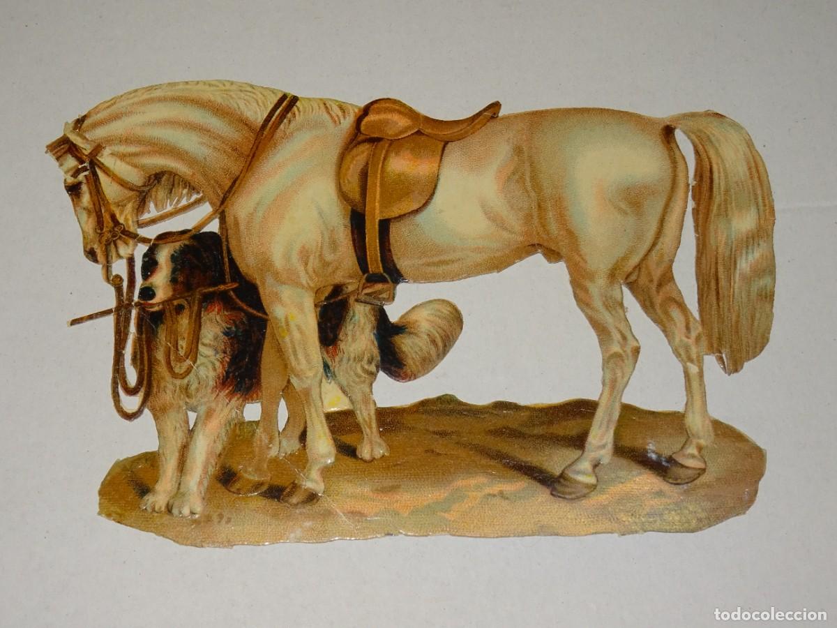 Collectionnisme Cartes &agrave; collectionner massicot&eacute;es anciennes: (MA) CROMO TROQUELADO ANTIGUO ANIMALES CABALLO - 16X12CM, SE&Ntilde;ALES DE USO