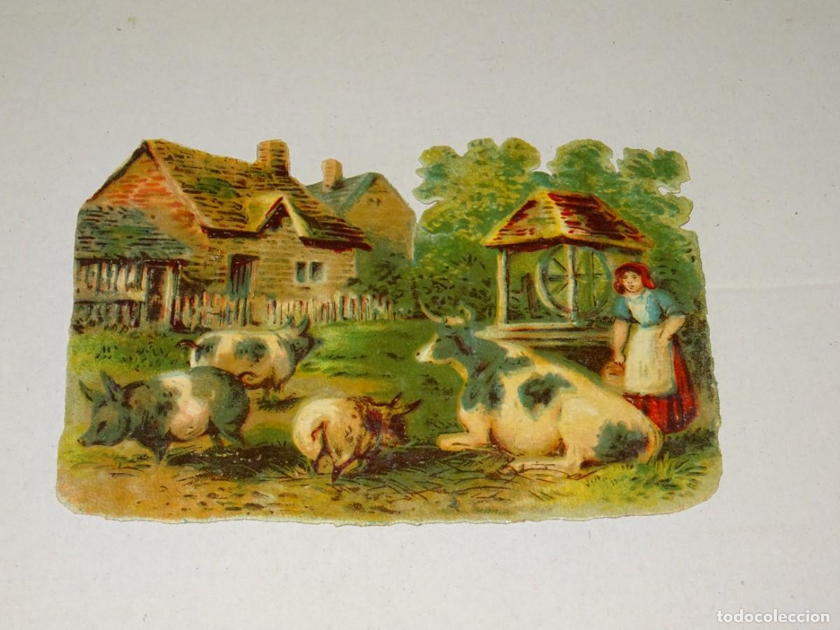 Collectable Antique Stamped Cards: (MA) CROMO TROQUELADO ANTIGUO TEMA AGRICULTURA, - 8,5X12CM, SE&Ntilde;ALES DE USO