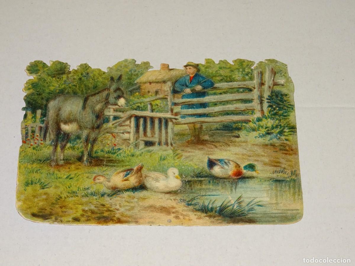 Collectable Antique Stamped Cards: (MA) CROMO TROQUELADO ANTIGUO TEMA AGRICULTURA, - 8,5X12CM, SE&Ntilde;ALES DE USO