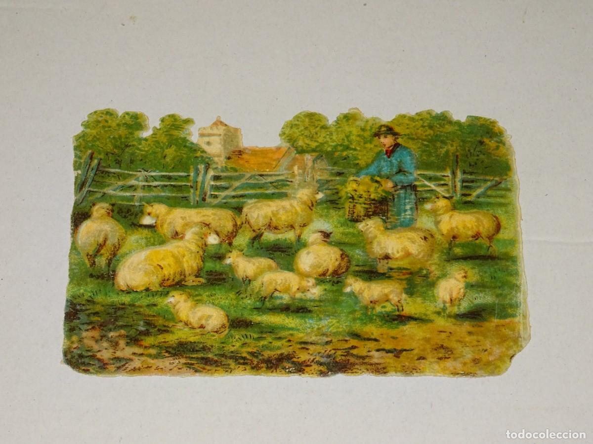 Collectable Antique Stamped Cards: (MA) CROMO TROQUELADO ANTIGUO TEMA AGRICULTURA, - 8,5X12CM, SE&Ntilde;ALES DE USO