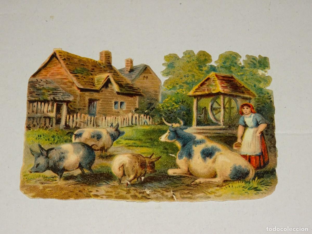 Collectionnisme Cartes &agrave; collectionner massicot&eacute;es anciennes: (MA) CROMO TROQUELADO ANTIGUO TEMA AGRICULTURA, - 8,5X12CM, SE&Ntilde;ALES DE USO