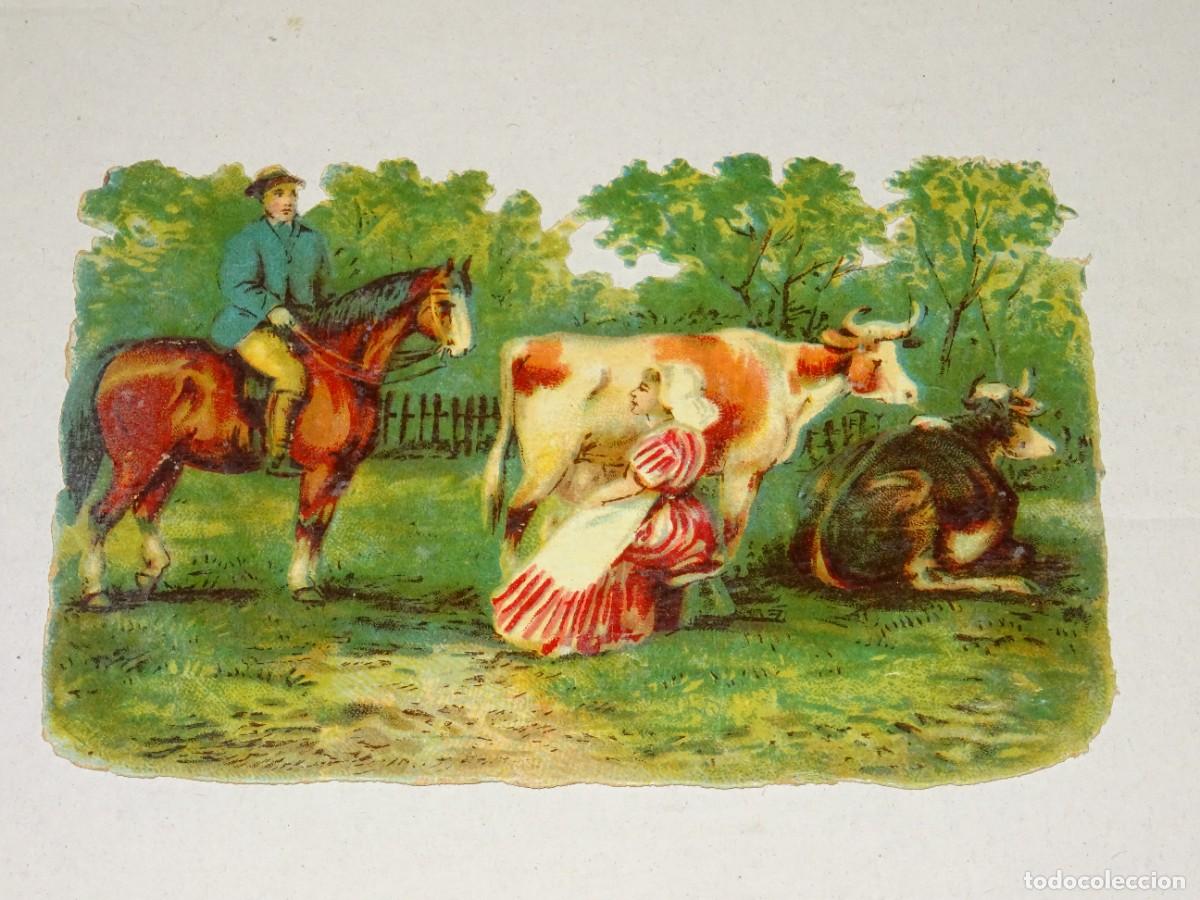 Collectionnisme Cartes &agrave; collectionner massicot&eacute;es anciennes: (MA) CROMO TROQUELADO ANTIGUO TEMA AGRICULTURA, - 8,5X12CM, SE&Ntilde;ALES DE USO