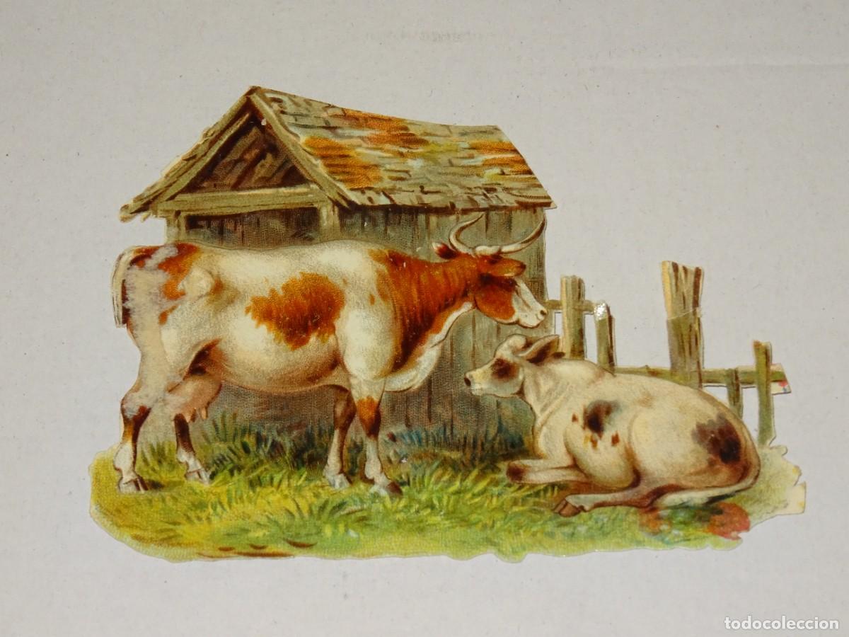 Colecionismo Cromos recortados antigos: (MA) CROMO TROQUELADO ANTIGUO TEMA AGRICULTURA, - 10,5X8,5CM, SE&Ntilde;ALES DE USO