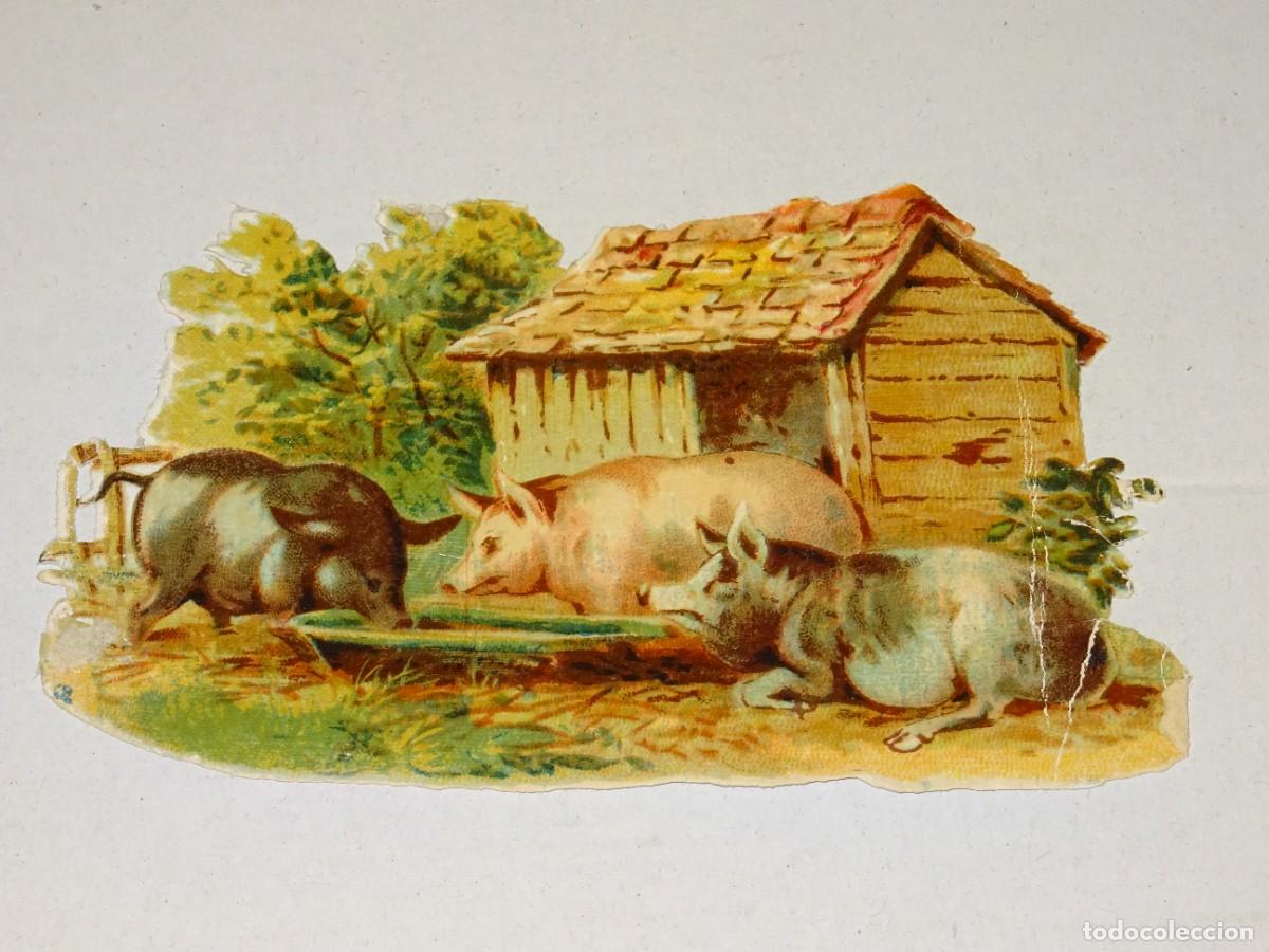 Colecionismo Cromos recortados antigos: (MA) CROMO TROQUELADO ANTIGUO TEMA AGRICULTURA, - 10,5X8,5CM, SE&Ntilde;ALES DE USO