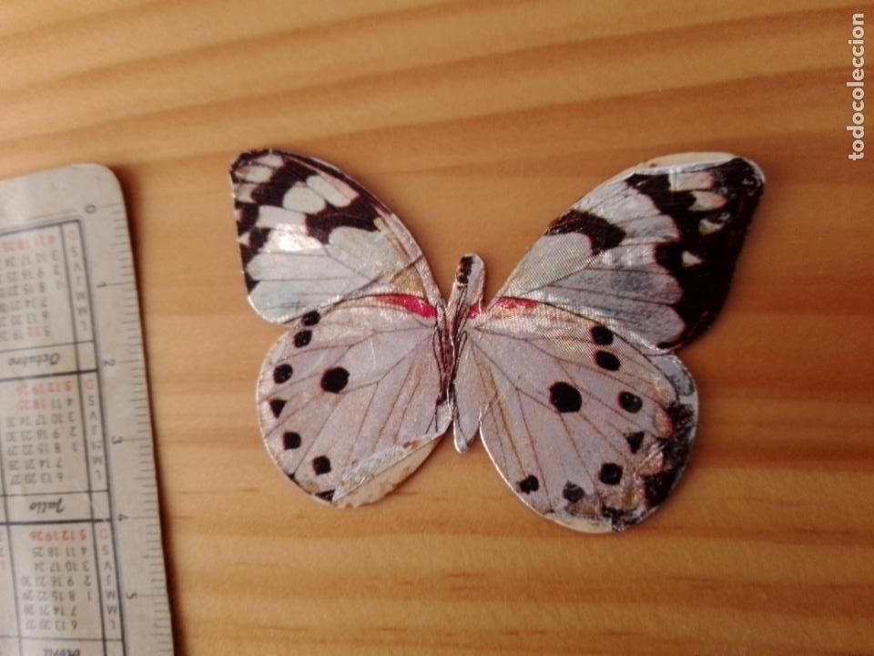 Sammeln alte gestanzte Sammelbilder: PANRICO : ANTIGUO CROMO N&ordm; 55 LAS CIEN MARIPOSAS MAS BELLAS DEL MUNDO