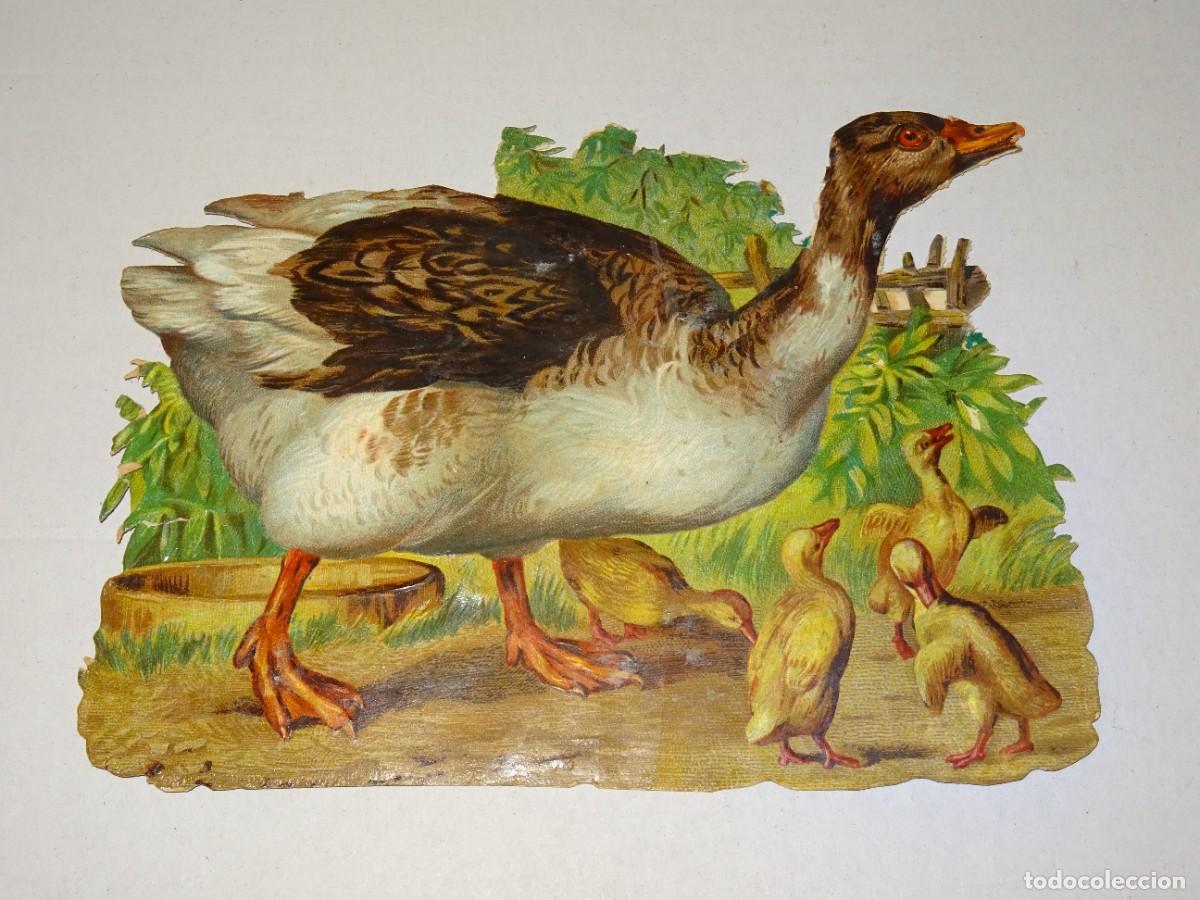 Colecionismo Cromos recortados antigos: (MCARP5) CROMO ANTIGUO TROQUELADOS - 15,5X11,5CM - SE&Ntilde;ALES DE USO