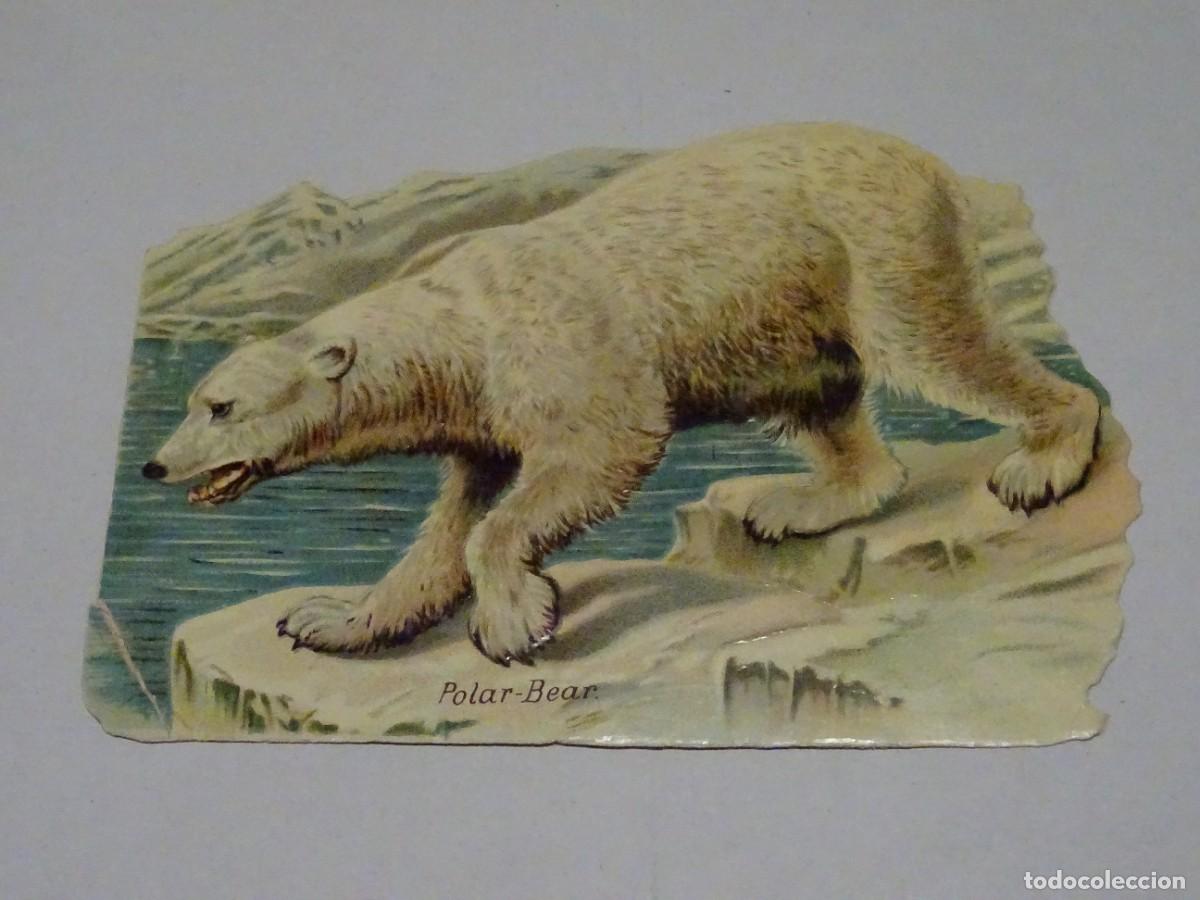 Colecionismo Cromos recortados antigos: (MB) CROMO ANTIGUO TROQUELADO 17,5X12,5CM - SE&Ntilde;ALES DE USO
