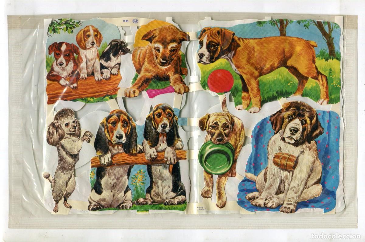 Coleccionismo Cromos troquelados antiguos: CROMOS TROQUELADOS PAQUETE DOS UNIDADES PRECINTADO A&Ntilde;OS 70/80 APLI REF. 1544/1602