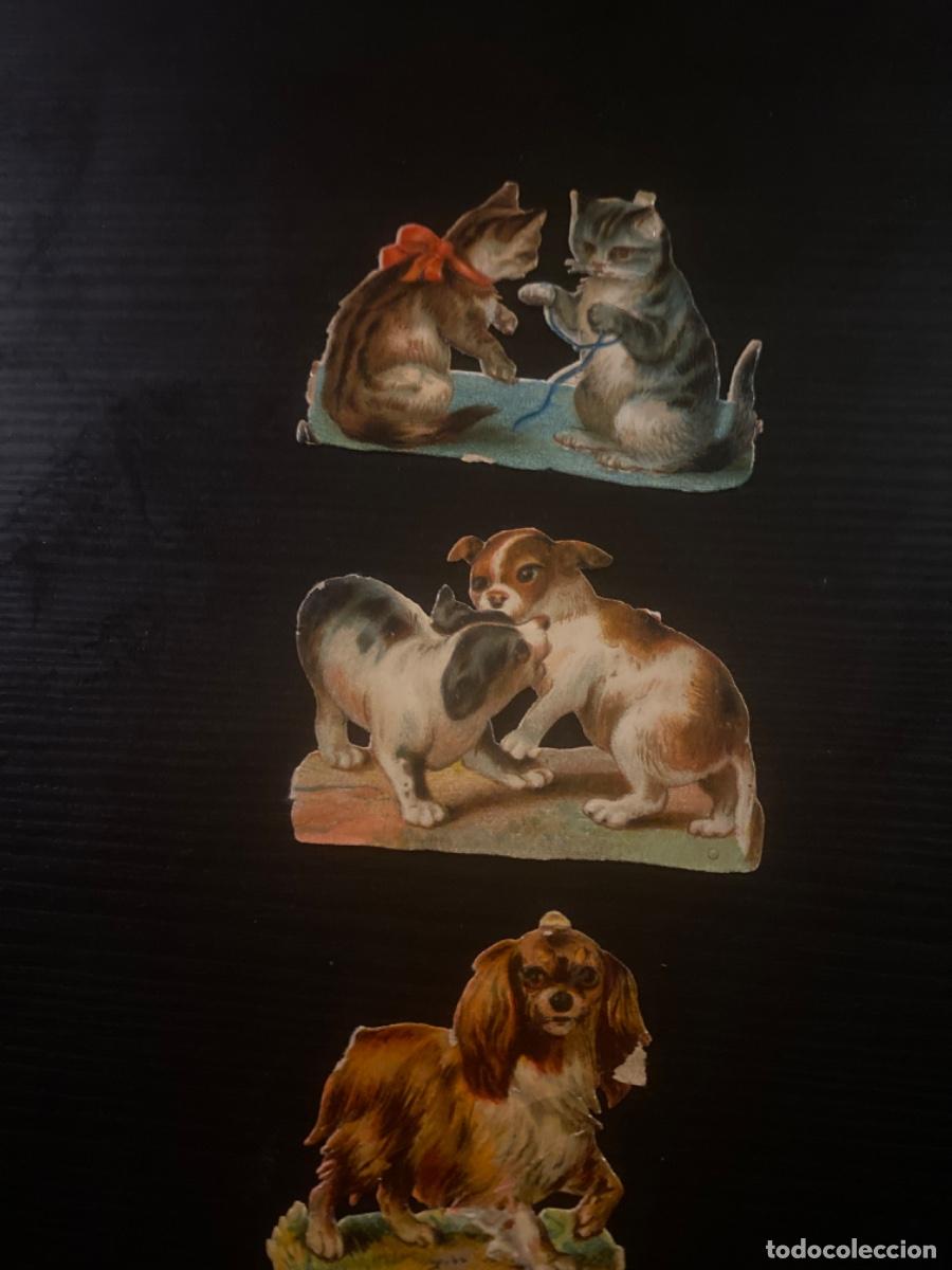 Collezionismo Figurine ritagliate antiche: Cromo troquelado antiguo animales perros y gatos 3 unidades