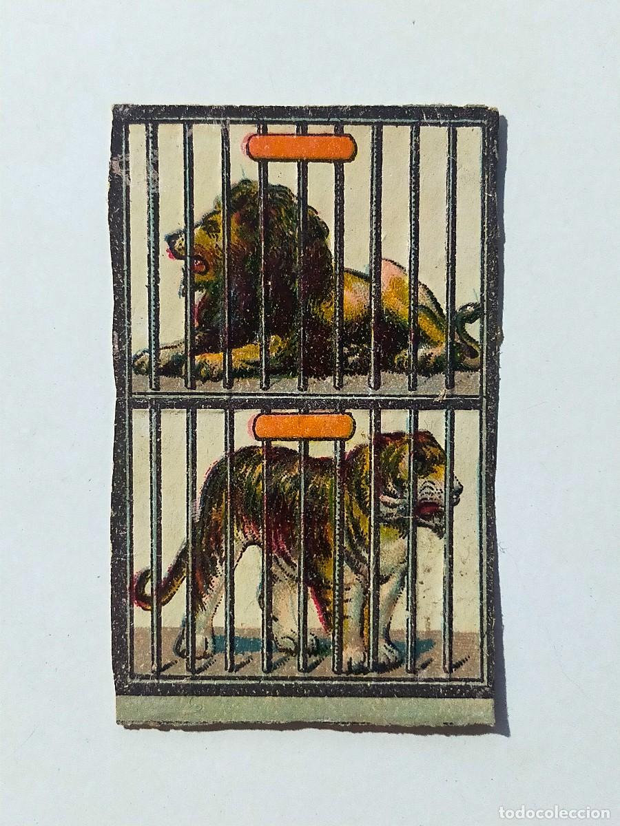 Coleccionismo Cromos troquelados antiguos: CROMO TROQUELADO: ANIMALES ENJAULADOS (Aprox 6 X 4 CM) - Finales XIX, Principios siglo XX