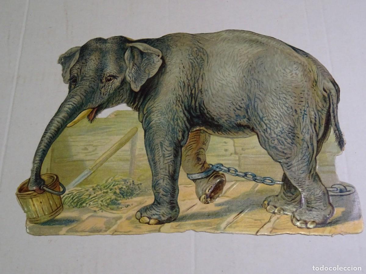 Collectionnisme Cartes &agrave; collectionner massicot&eacute;es anciennes: (MK) CROMO TROQUELADO ANTIGUO ELEFANTE - 19X13CM - SE&Ntilde;ALES DE USO