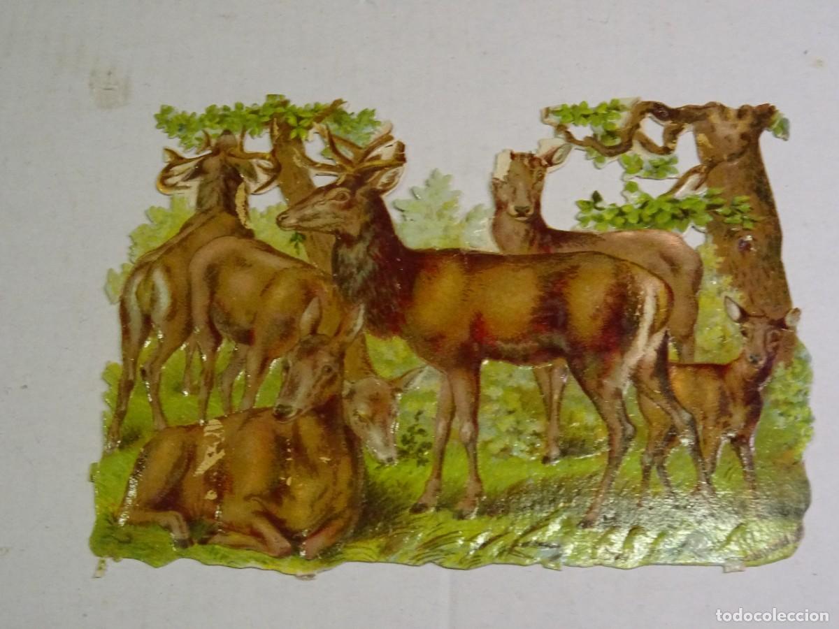Collectionnisme Cartes &agrave; collectionner massicot&eacute;es anciennes: (MK) CROMO TROQUELADO ANTIGUO - 13X9CM - SE&Ntilde;ALES DE USO