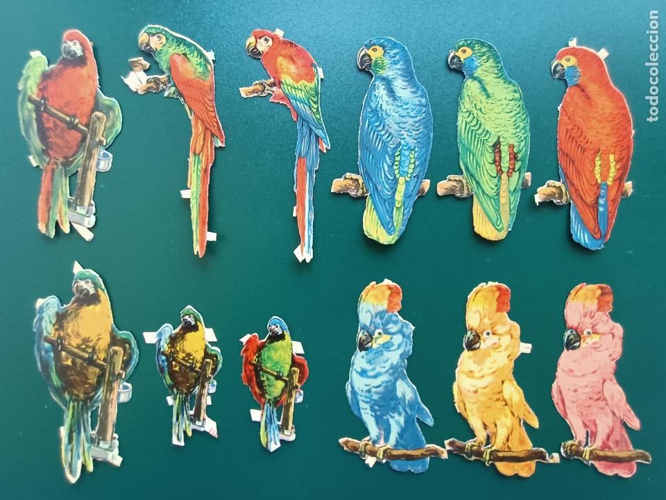 Coleccionismo Cromos troquelados antiguos: LOROS CROMOS TROQUELADOS ANTIGUOS