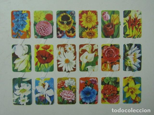 Collectionnisme Cartes &agrave; collectionner massicot&eacute;es anciennes: L&Aacute;MINA CROMOS TROQUELADOS MAVES LORO&Ntilde;O NUEVA - 8