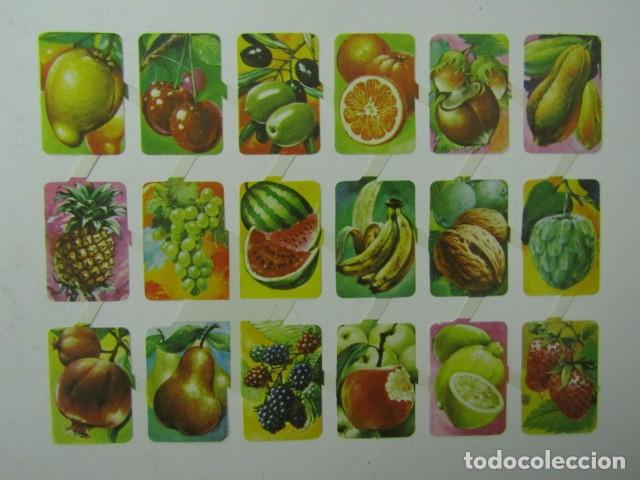 Collectionnisme Cartes &agrave; collectionner massicot&eacute;es anciennes: L&Aacute;MINA CROMOS TROQUELADOS MAVES LORO&Ntilde;O NUEVA - 19