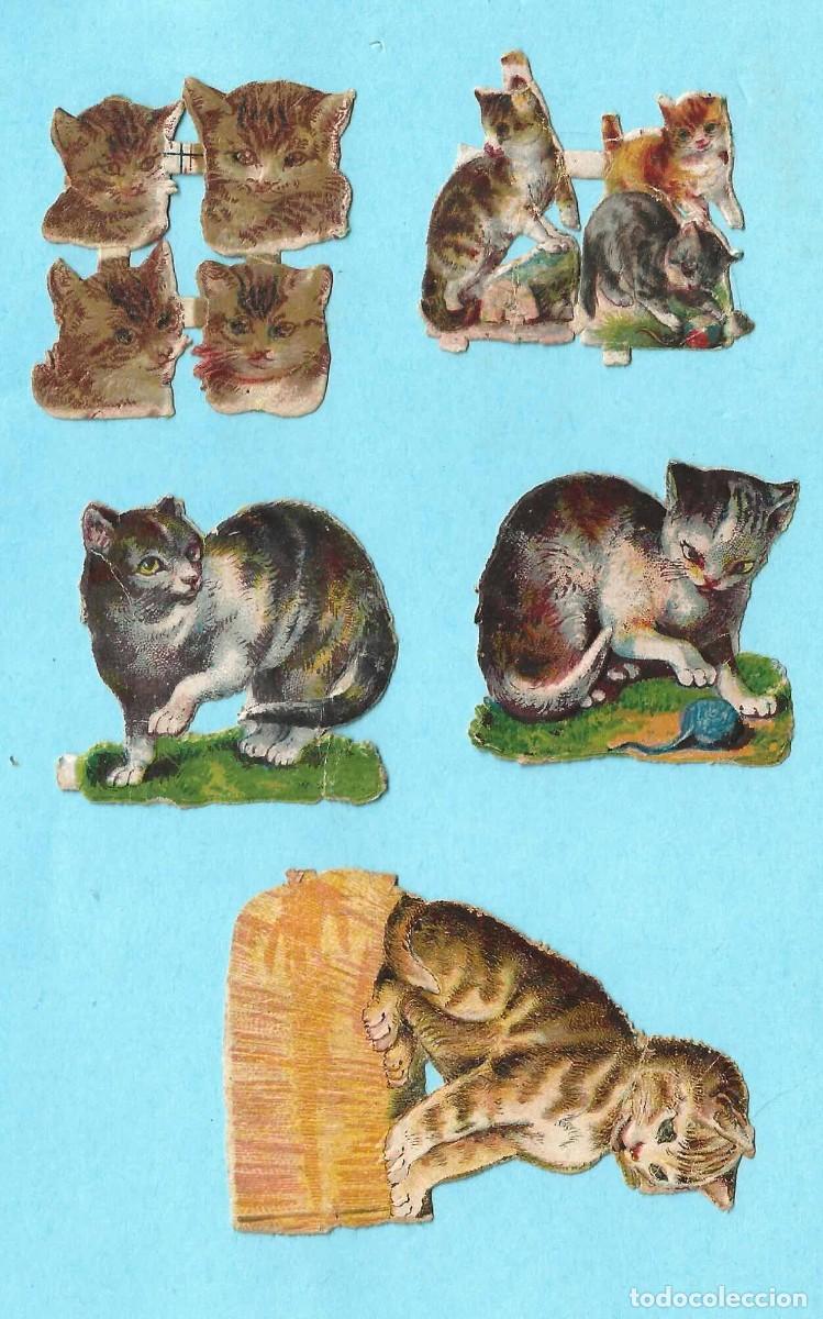 Coleccionismo Cromos troquelados antiguos: LOTE DE CROMOS DE PICAR GATOS, GATITOS. CHOCOLATE AMATLLER