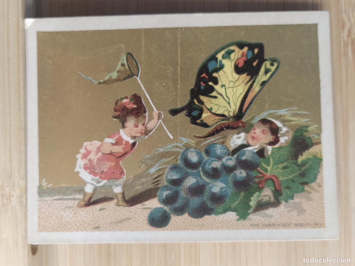 Coleccionismo Cromos troquelados antiguos: INSECTOS Y FRUTAS - GRAN CAFE DE ORIENTE SALON CONDAL - CROMO ANTIGUO -VER FOTOS-(108.183)