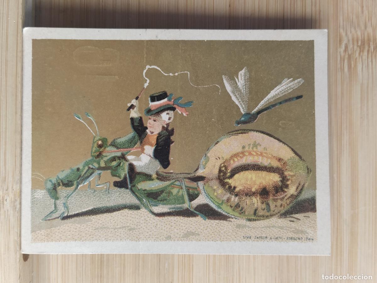 Coleccionismo Cromos troquelados antiguos: INSECTOS Y FRUTAS - GRAN CAFE DE ORIENTE SALON CONDAL - CROMO ANTIGUO -VER FOTOS-(108.183)