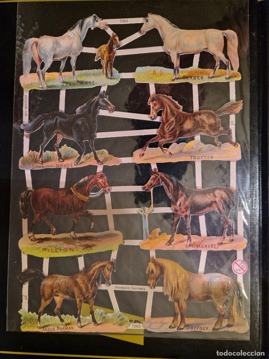 Coleccionismo cromos troquelados antiguos: CROMOS TROQUELADOS CABALLOS - Foto 1