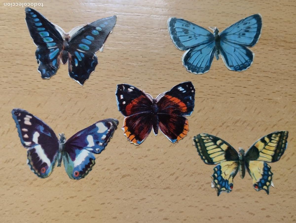 Coleccionismo cromos troquelados antiguos: CROMOS TROQUELADOS MARIPOSAS.. - Foto 1