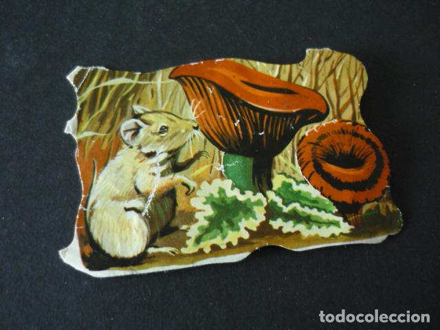 Coleccionismo cromos troquelados antiguos: RATON CROMO TROQUELADO DE PICAR - Foto 1