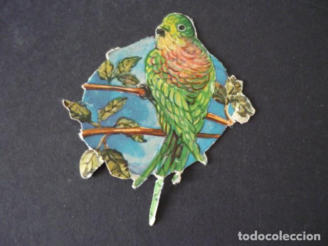 Coleccionismo cromos troquelados antiguos: LORO CROMO TROQUELADO DE PICAR - Foto 1