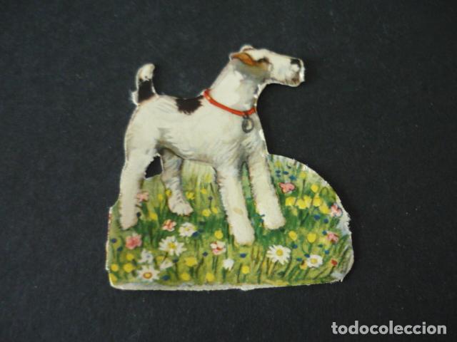 Coleccionismo cromos troquelados antiguos: PERRO CROMO TROQUELADO DE PICAR - Foto 1