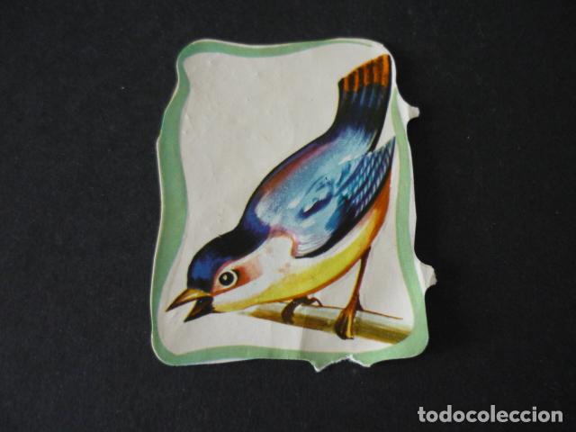 Coleccionismo cromos troquelados antiguos: PAJARO CROMO TROQUELADO DE PICAR - Foto 1