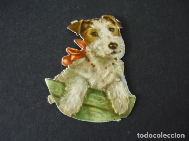 Coleccionismo cromos troquelados antiguos: PERRO CROMO TROQUELADO DE PICAR - Foto 1