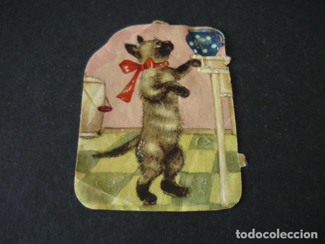 Coleccionismo cromos troquelados antiguos: GATO CROMO TROQUELADO DE PICAR - Foto 1