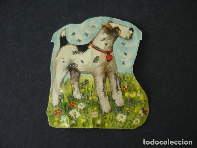 Coleccionismo cromos troquelados antiguos: PERRO CROMO TROQUELADO DE PICAR - Foto 1