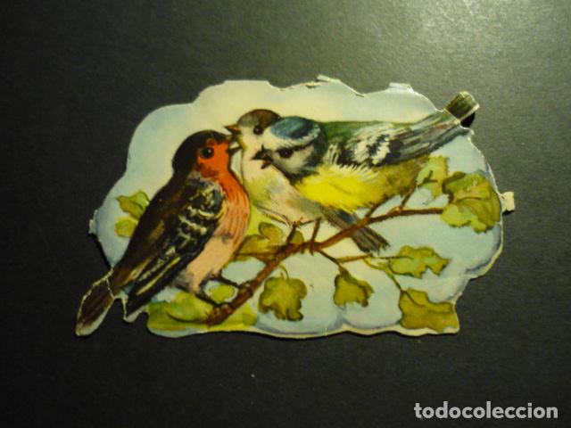 Coleccionismo cromos troquelados antiguos: PAJAROS CROMO TROQUELADO DE PICAR - Foto 1