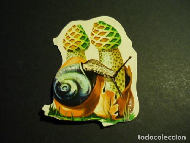 Coleccionismo cromos troquelados antiguos: CROMO TROQUELADO DE PICAR - Foto 1