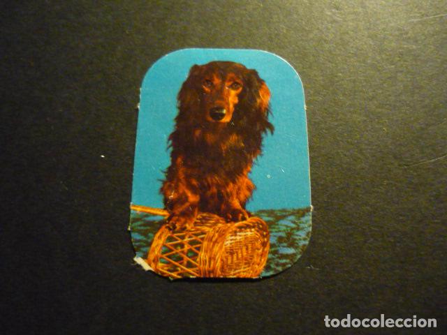 Coleccionismo cromos troquelados antiguos: CROMO TROQUELADO DE PICAR - Foto 1
