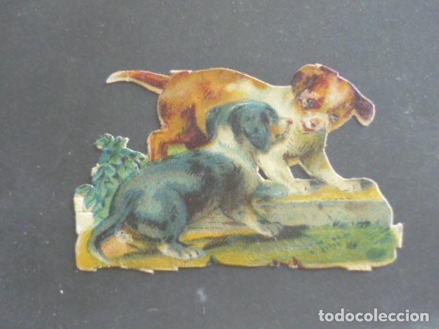 Coleccionismo cromos troquelados antiguos: PERROS ANTIGUO CROMO TROQUELADO - Foto 1