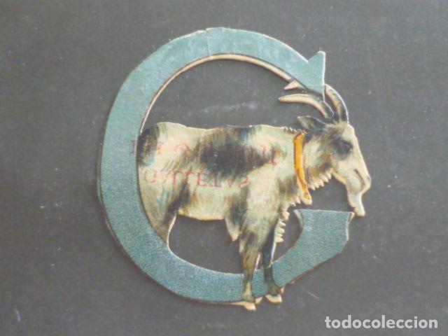 Coleccionismo cromos troquelados antiguos: CABRA ANTIGUO CROMO TROQUELADO - Foto 1