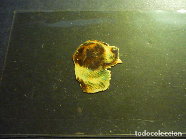 Coleccionismo cromos troquelados antiguos: PERRO ANTIGUO CROMO TROQUELADO - Foto 1