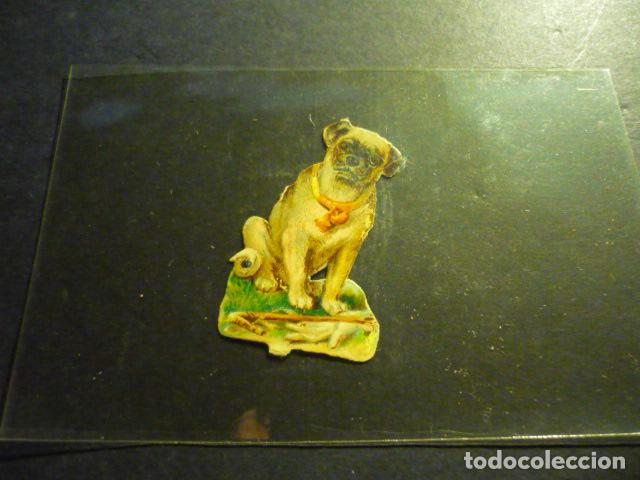 Coleccionismo cromos troquelados antiguos: PERRO ANTIGUO CROMO TROQUELADO - Foto 1