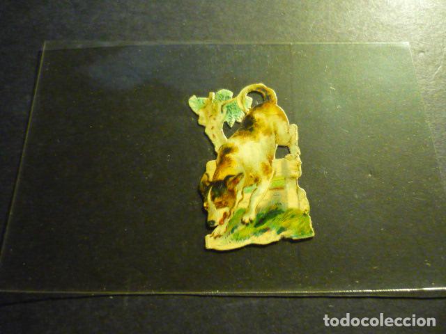 Coleccionismo cromos troquelados antiguos: PERRO ANTIGUO CROMO TROQUELADO - Foto 1