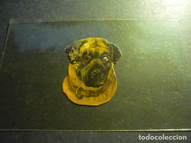Coleccionismo cromos troquelados antiguos: PERRO ANTIGUO CROMO TROQUELADO - Foto 1